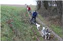 Tour Taunus 281